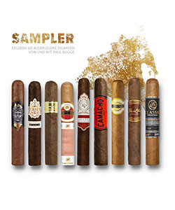 PaulBuggeSampler