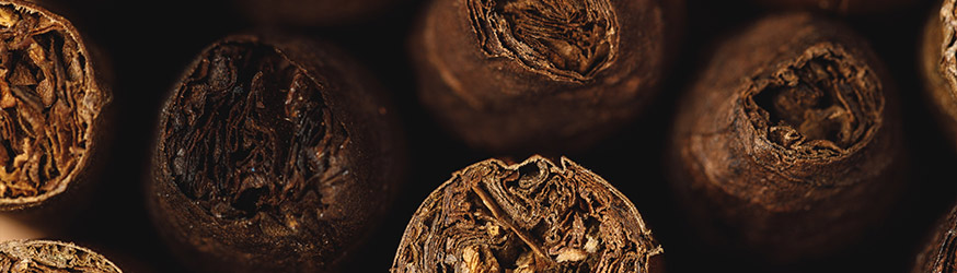 Zigarren Filler Typen: Shortfiller, Mediumfiller und Longfiller im Vergleich