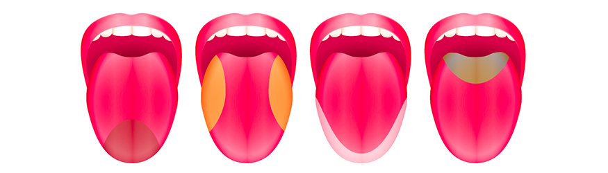 Zigarren Aromen Geschmackswahrnehmung