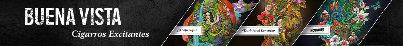 Buena Vista Zigarren - Cigarros Excitantes