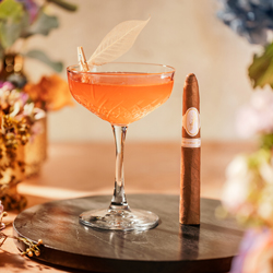 Cocktail und Davidoff Zigarren