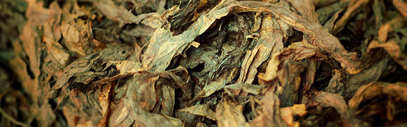 Eine Marke mit Geschichte: Cornell & Diehl