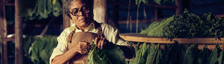 Dom. Rep. Tabakschuppen