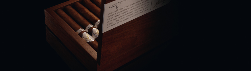 Davidoff Oro Blanco stillvoll