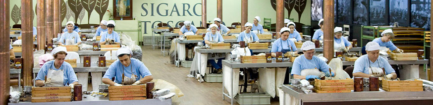 Einblick in die Manufaktur von Toscano Zigarren
