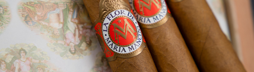 Maria Mancini Zigarren in der Reihe