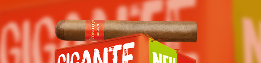 Montosa Claro Zigarre auf Kiste